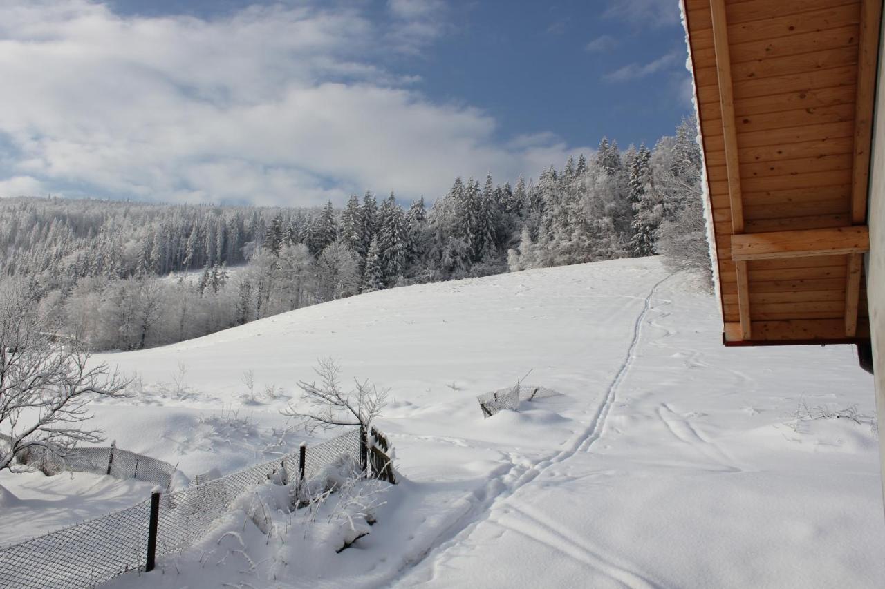 Bed and Breakfast Hillton Jawornik Weichsel Exterior foto